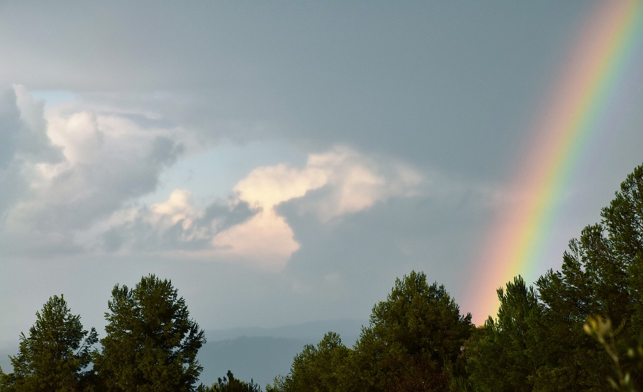 rainbow trees rainbow sky free photo