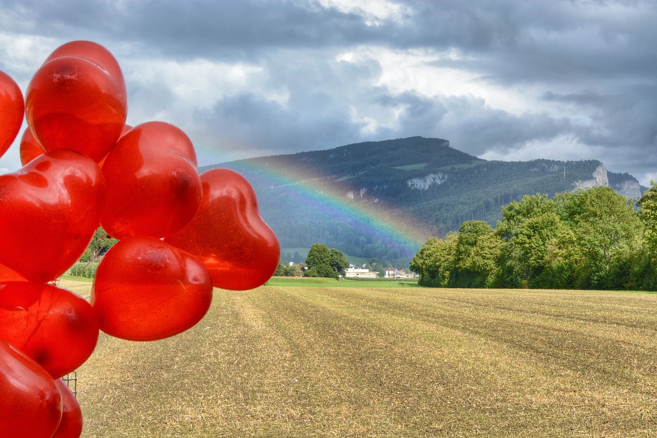 rainbow nature field free photo