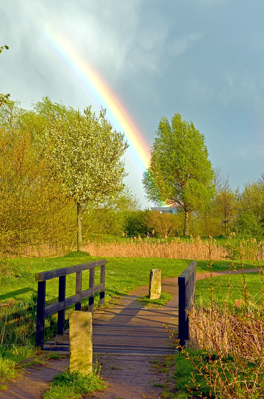 rainbow spring bridge free photo