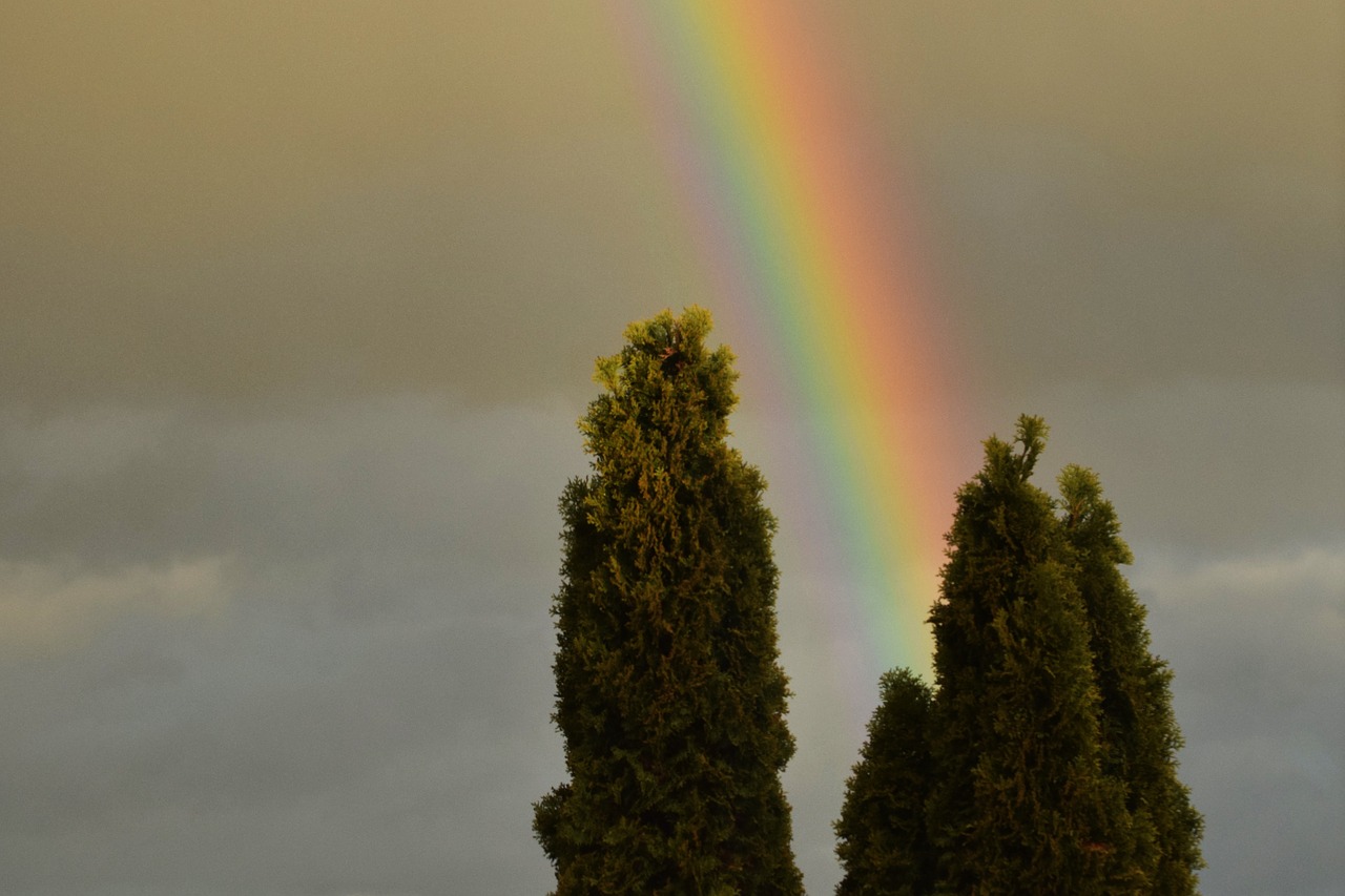 rainbow light mood free photo