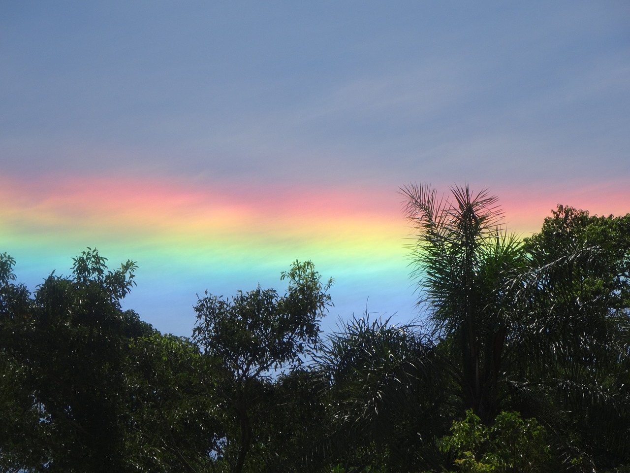 rainbow reflection drop of water free photo