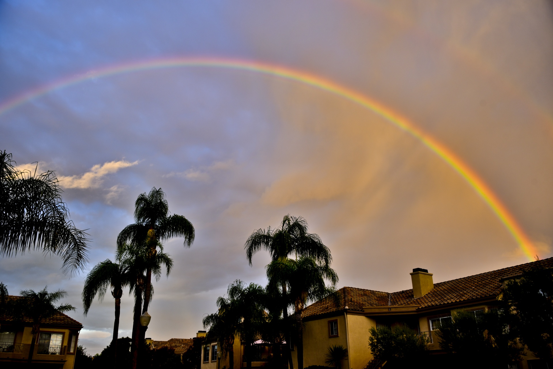 rainbow colorful span free photo