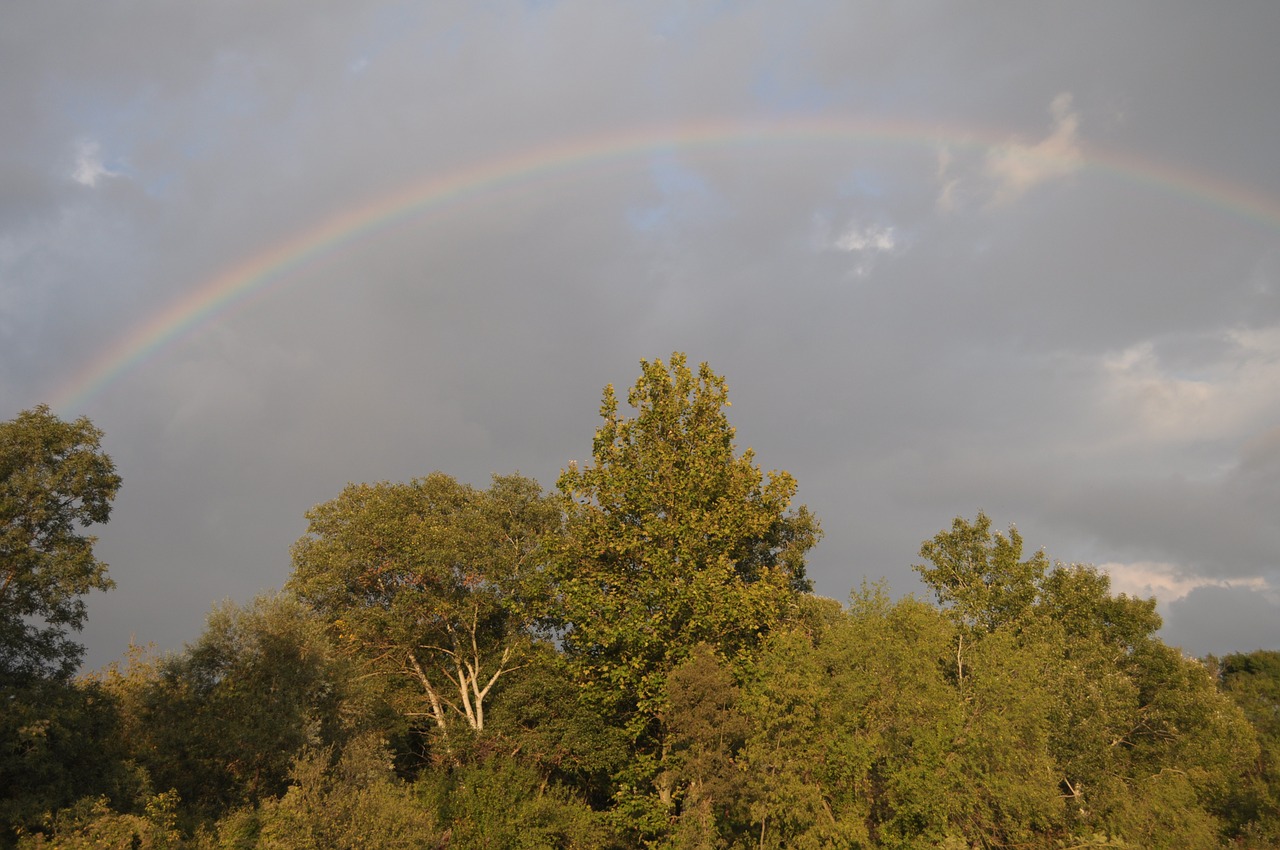 rainbow sky nature free photo