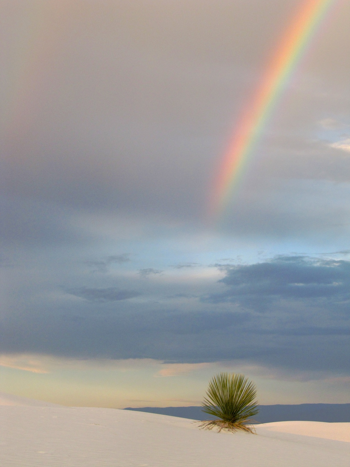 rainbow sky colorful free photo