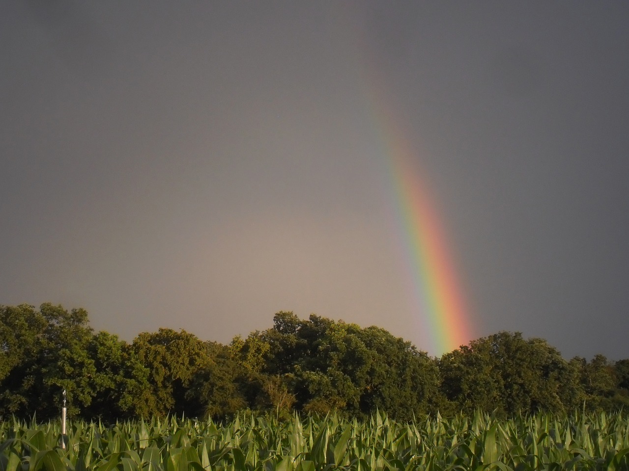 rainbow colors sky free photo