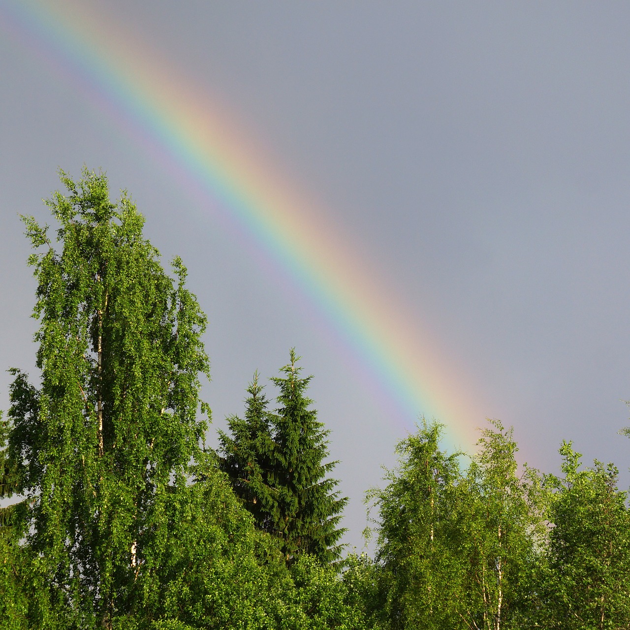 rainbow natural phenomenon refraction of light free photo