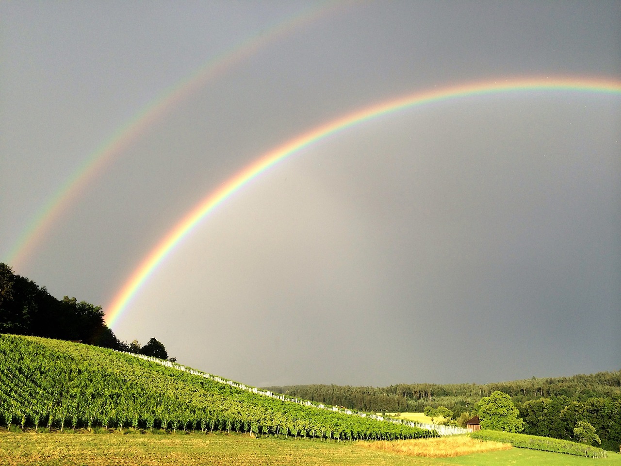 rainbow sky color free photo