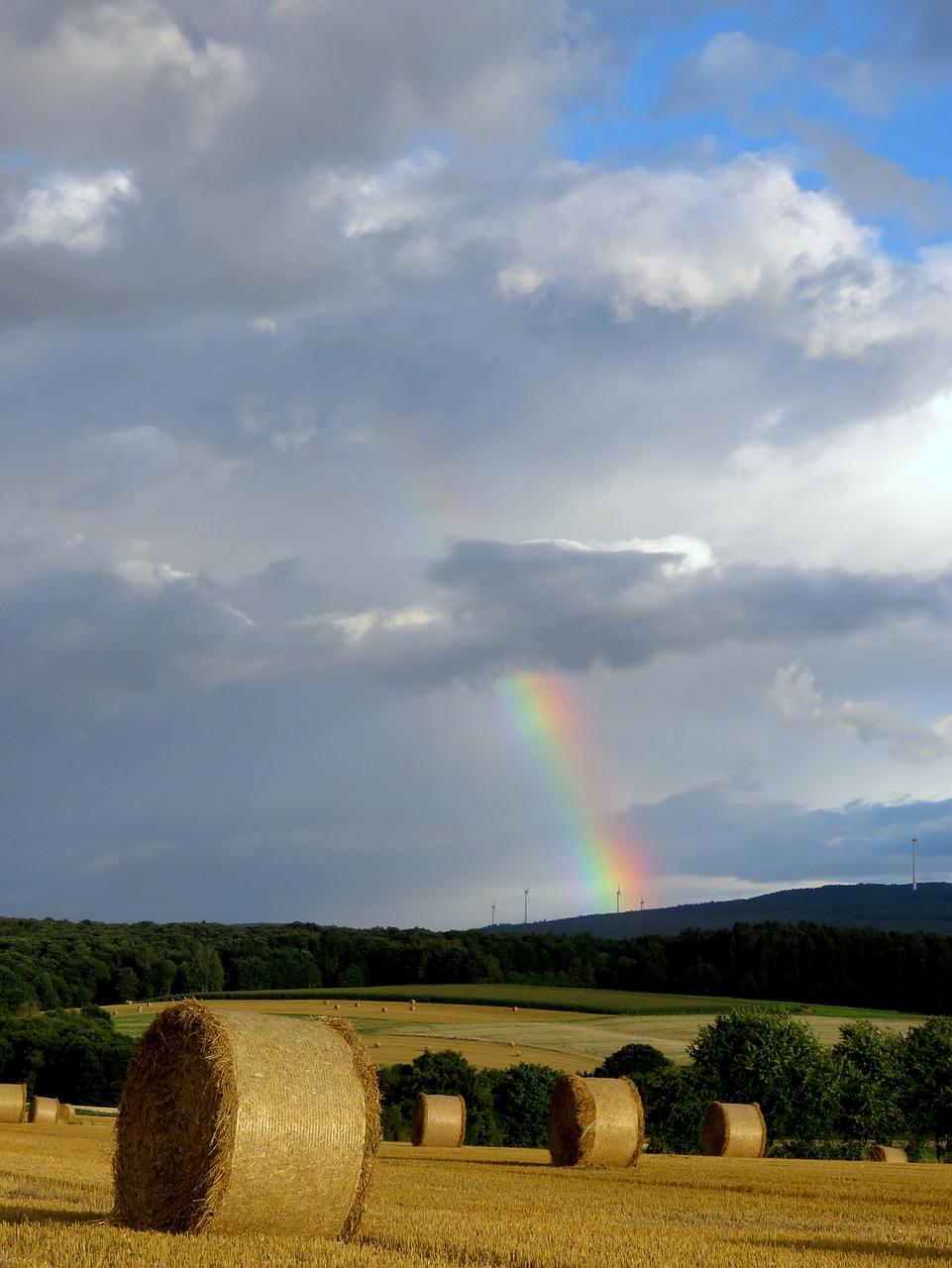 rainbow color field free photo