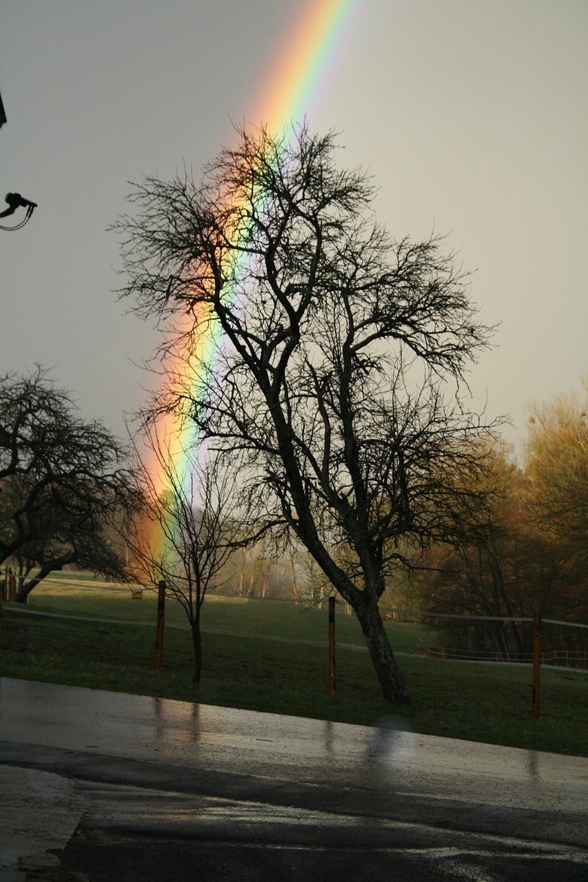 rainbow road landscape free photo