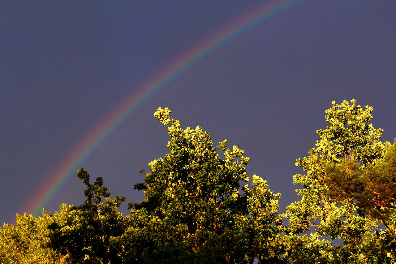 rainbow sky mood free photo