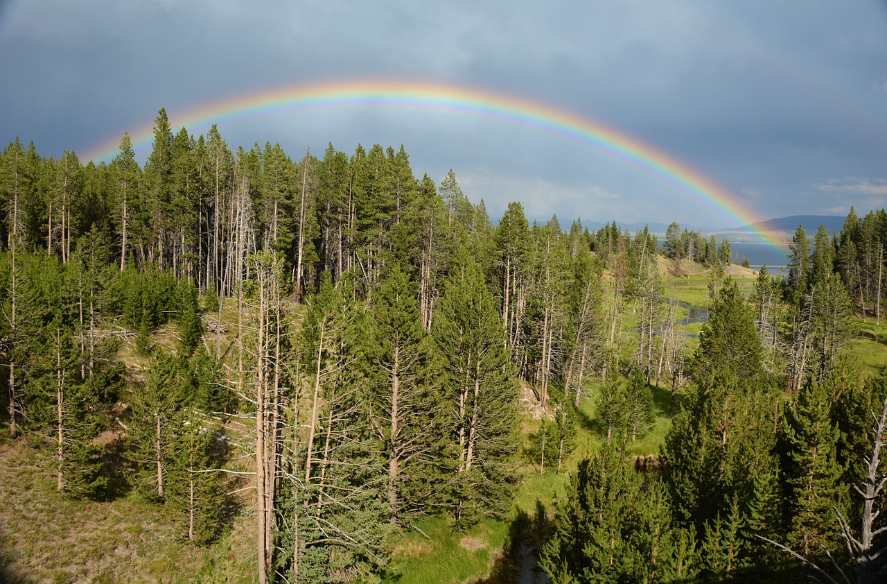 rainbow yellowstone thunderstorm free photo