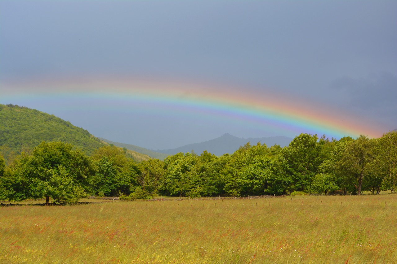 rainbow multicolor rain free photo