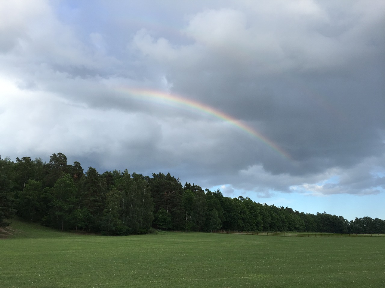 rainbow forest landscapes free photo