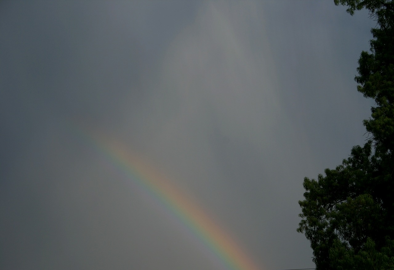 rainbow circular multi-colored free photo