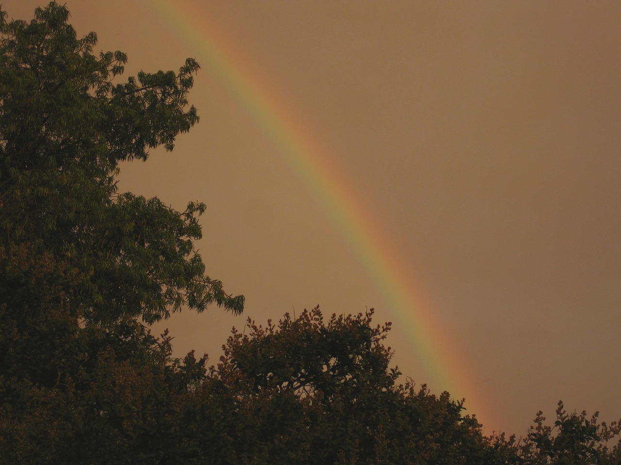 rainbow arc colorful free photo