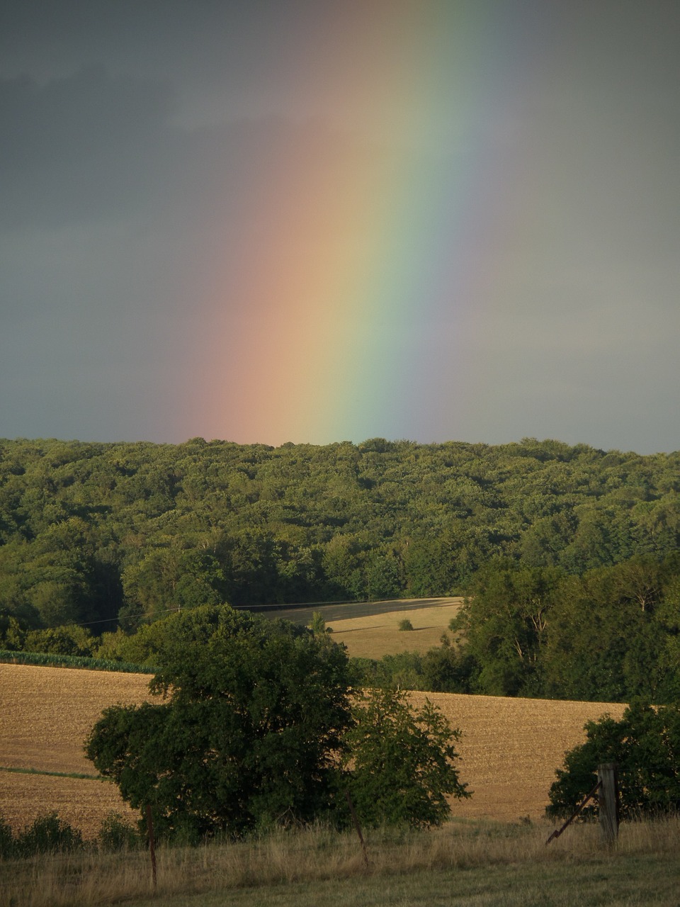 rainbow colors colorful free photo