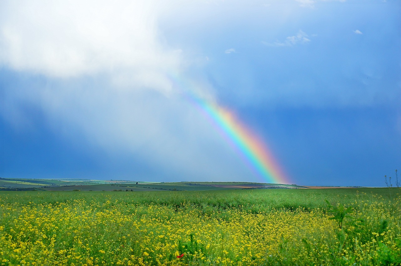 rainbow green field blue sky free photo