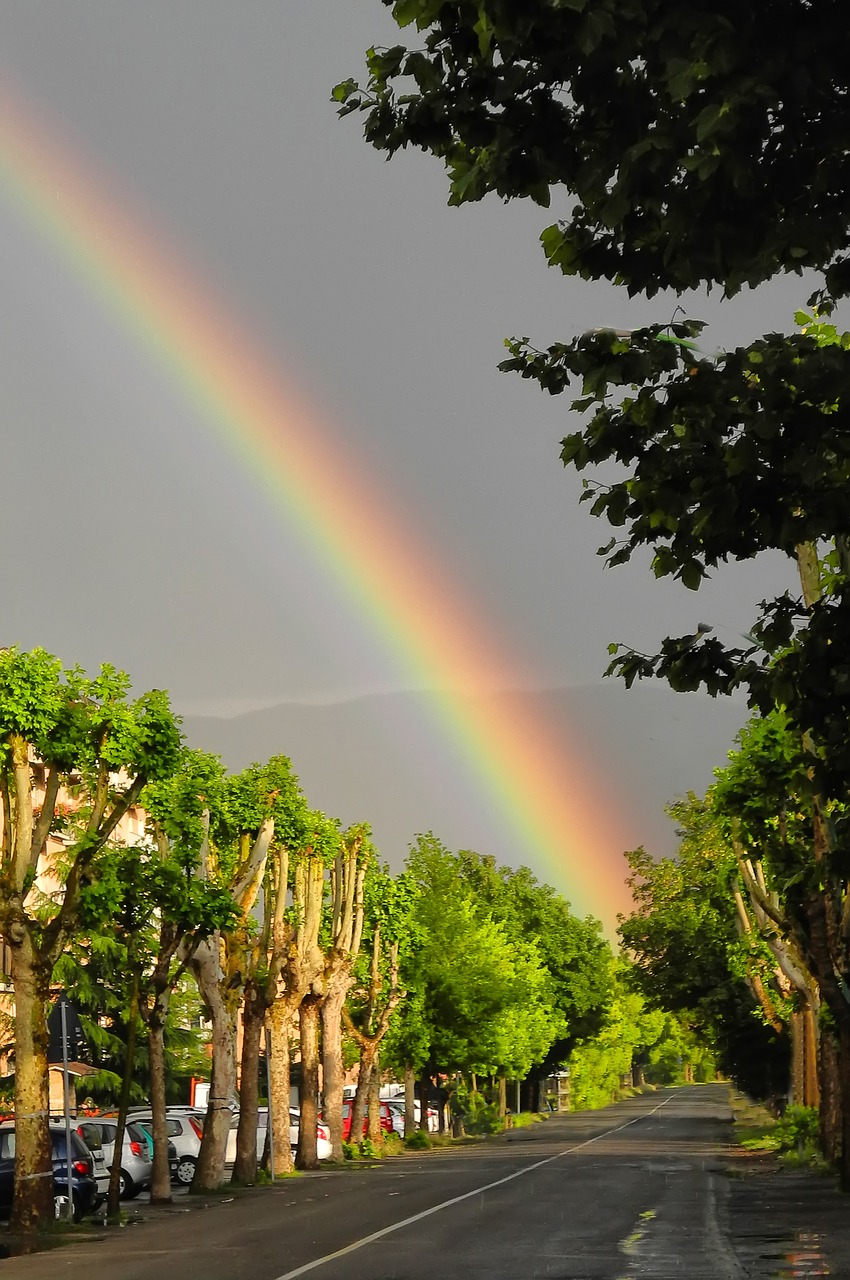 rainbow thunderstorm sun free photo