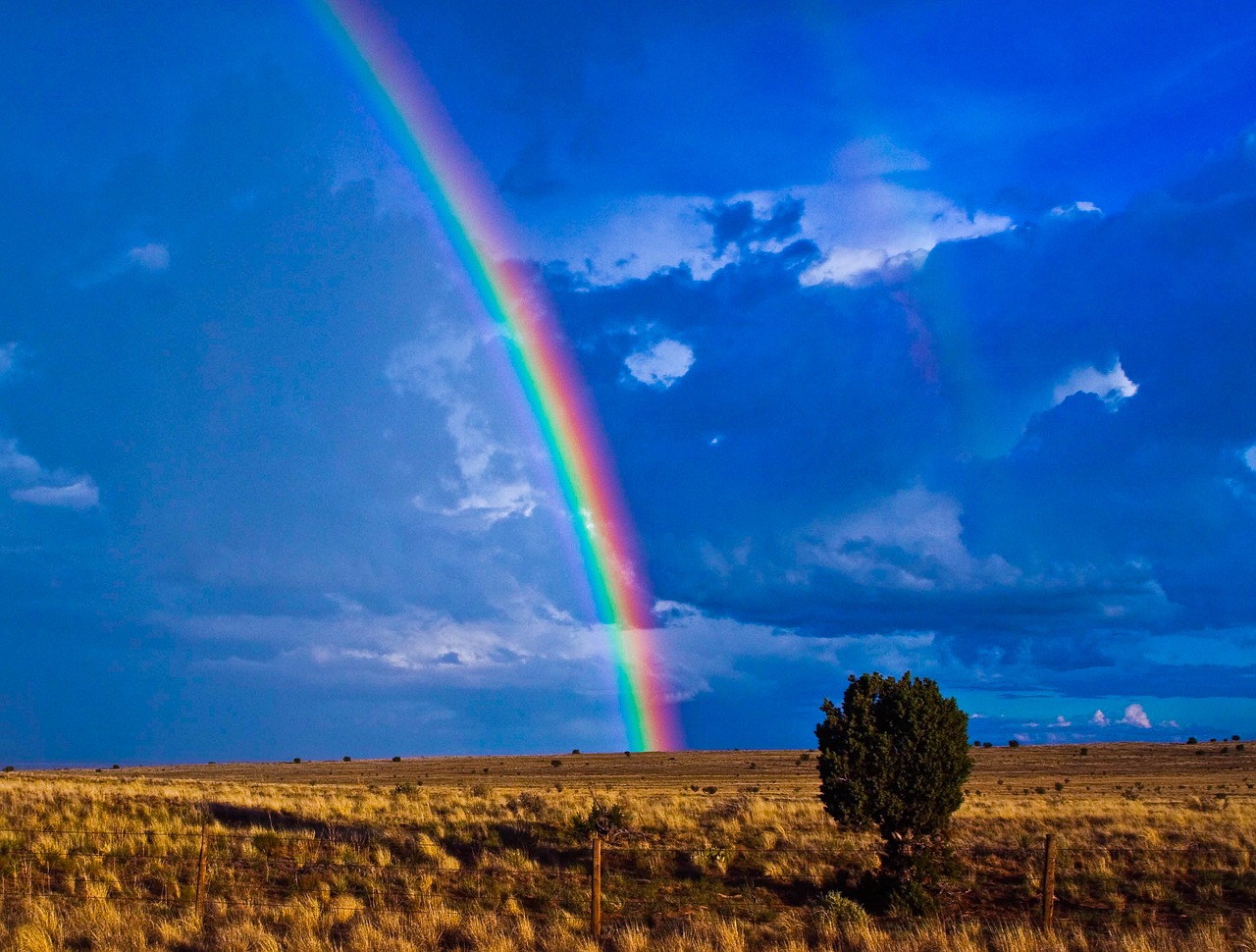 rainbow southwest desert free photo