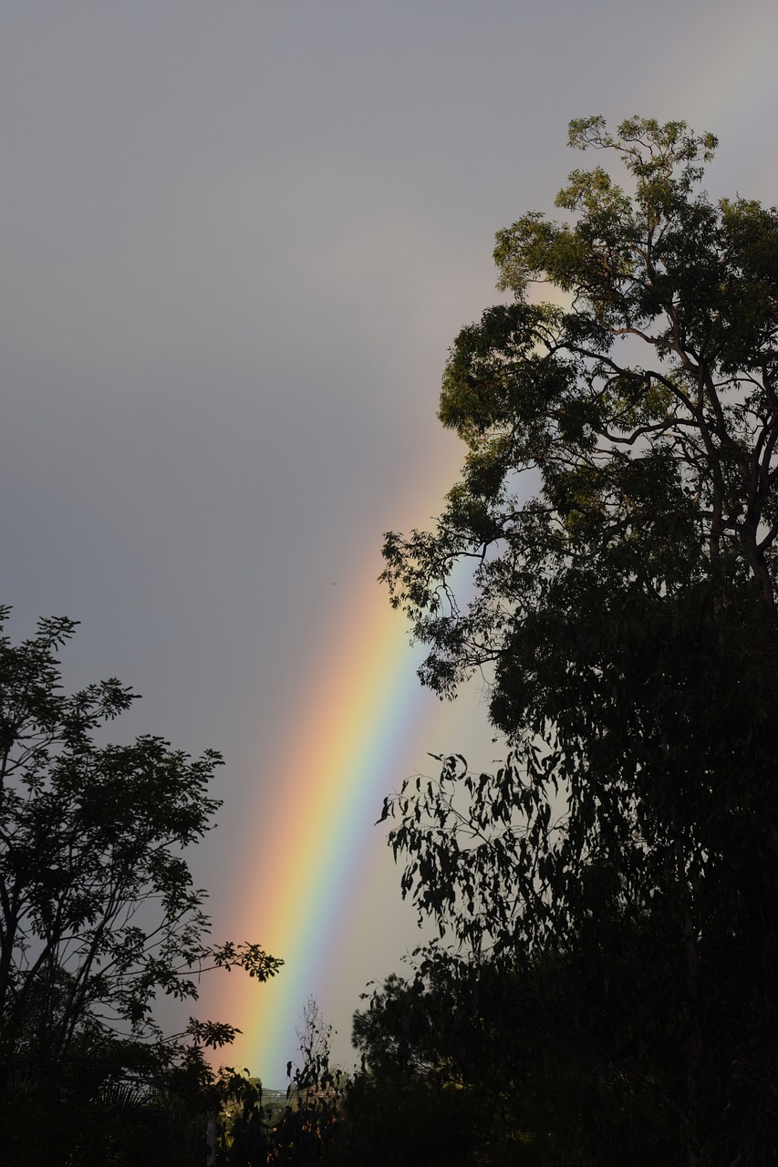 rainbow hope after rain free photo