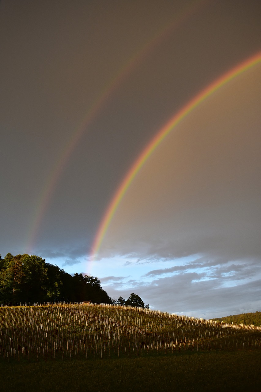 rainbow nature spectacle free photo
