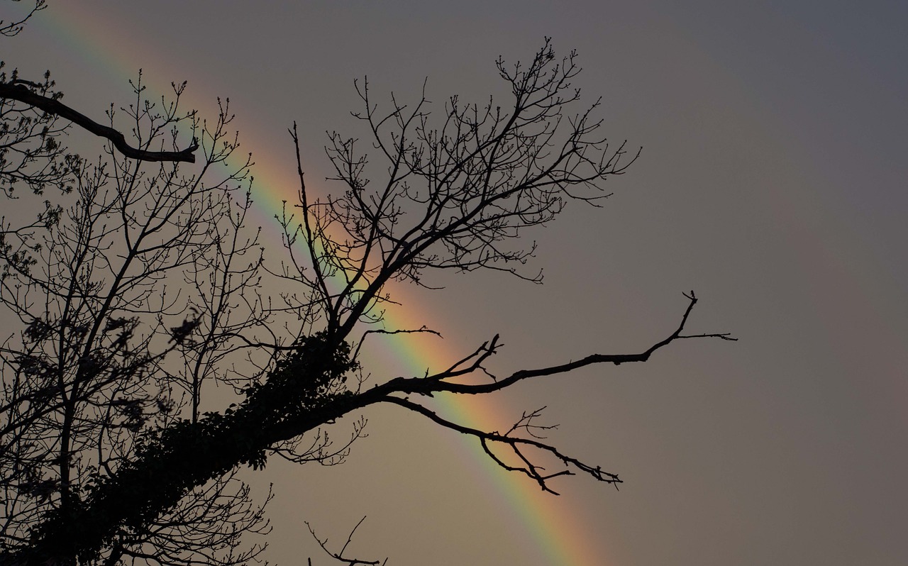 rainbow spring rain free photo