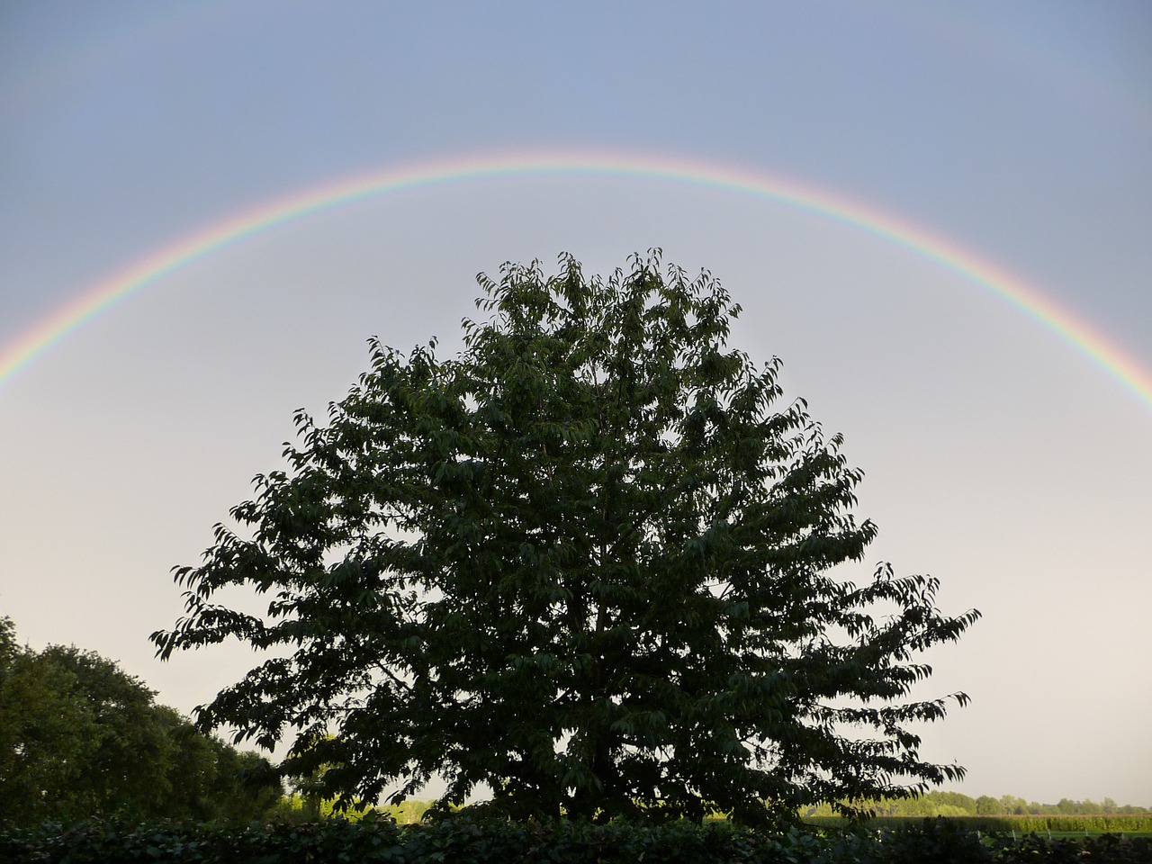 rainbow landscape nature free photo