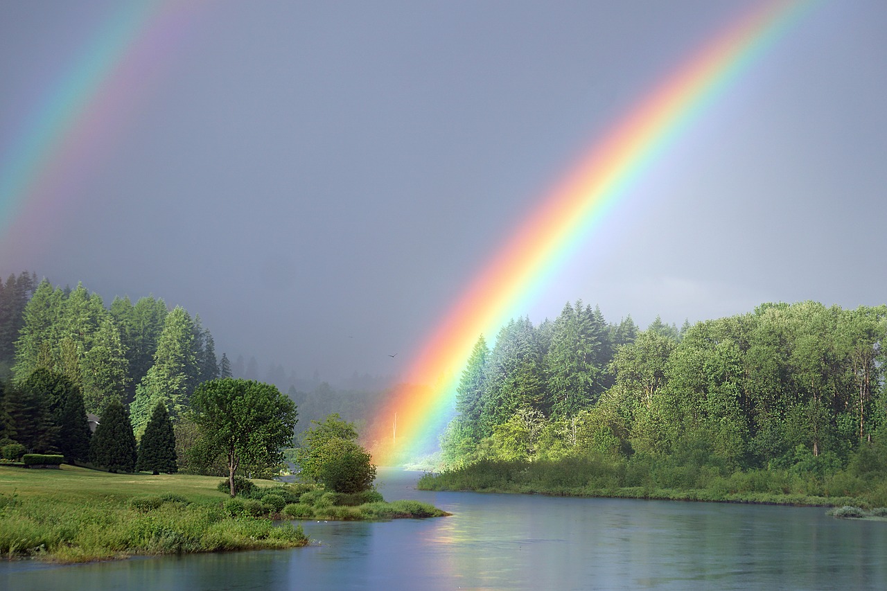 rainbow river nature free photo