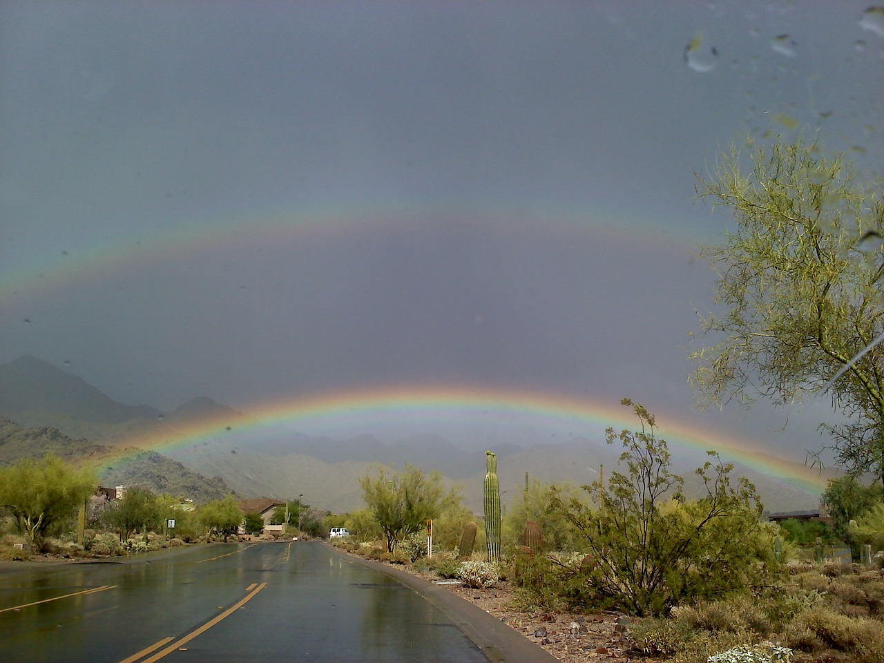 rainbow street wet free photo