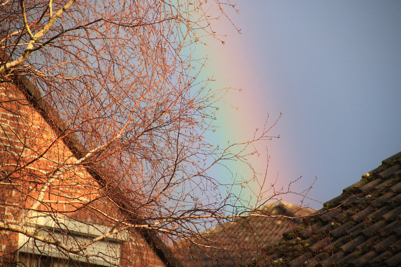 rainbow bright contrasts free photo