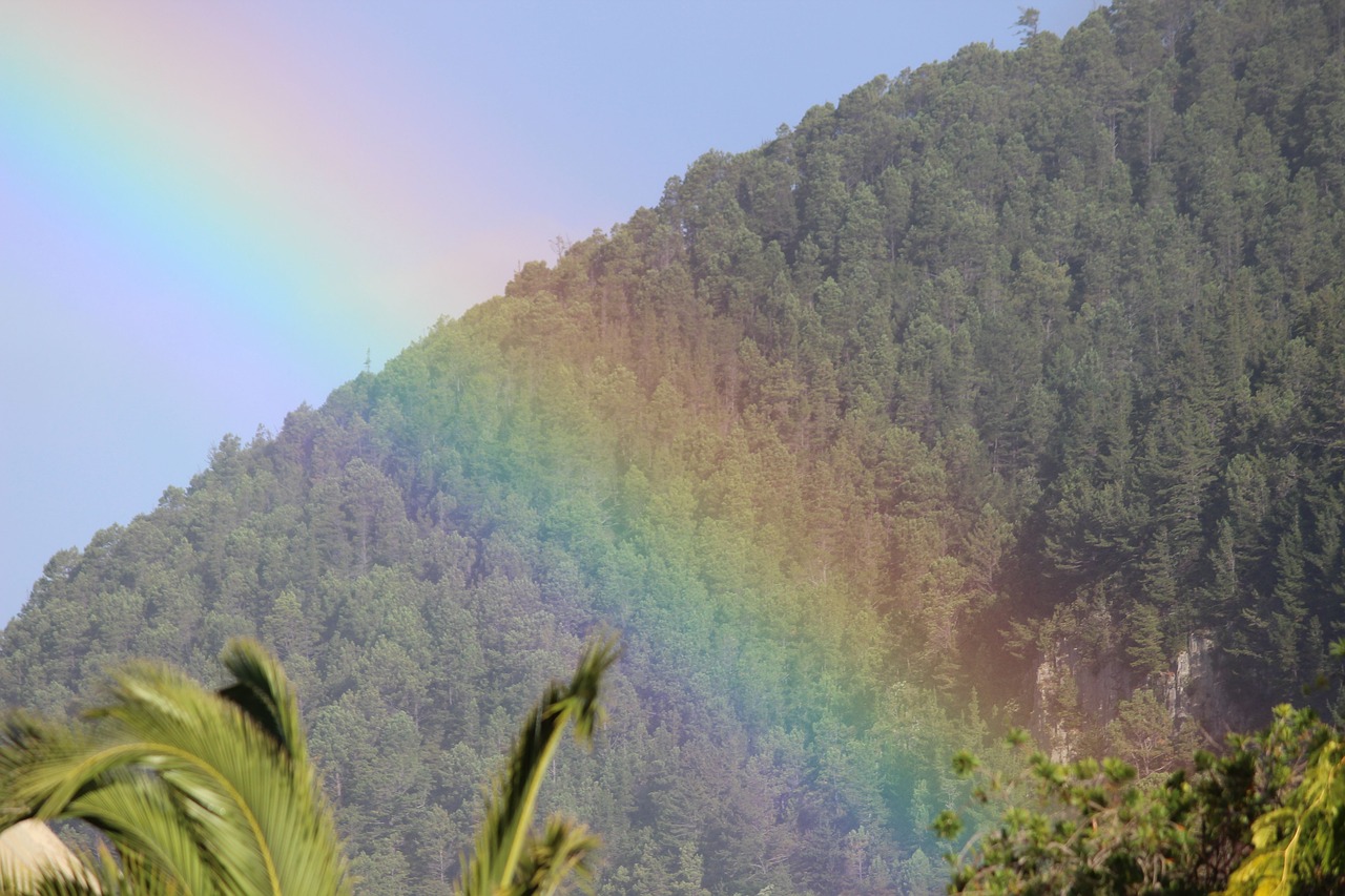 rainbow nature bright free photo