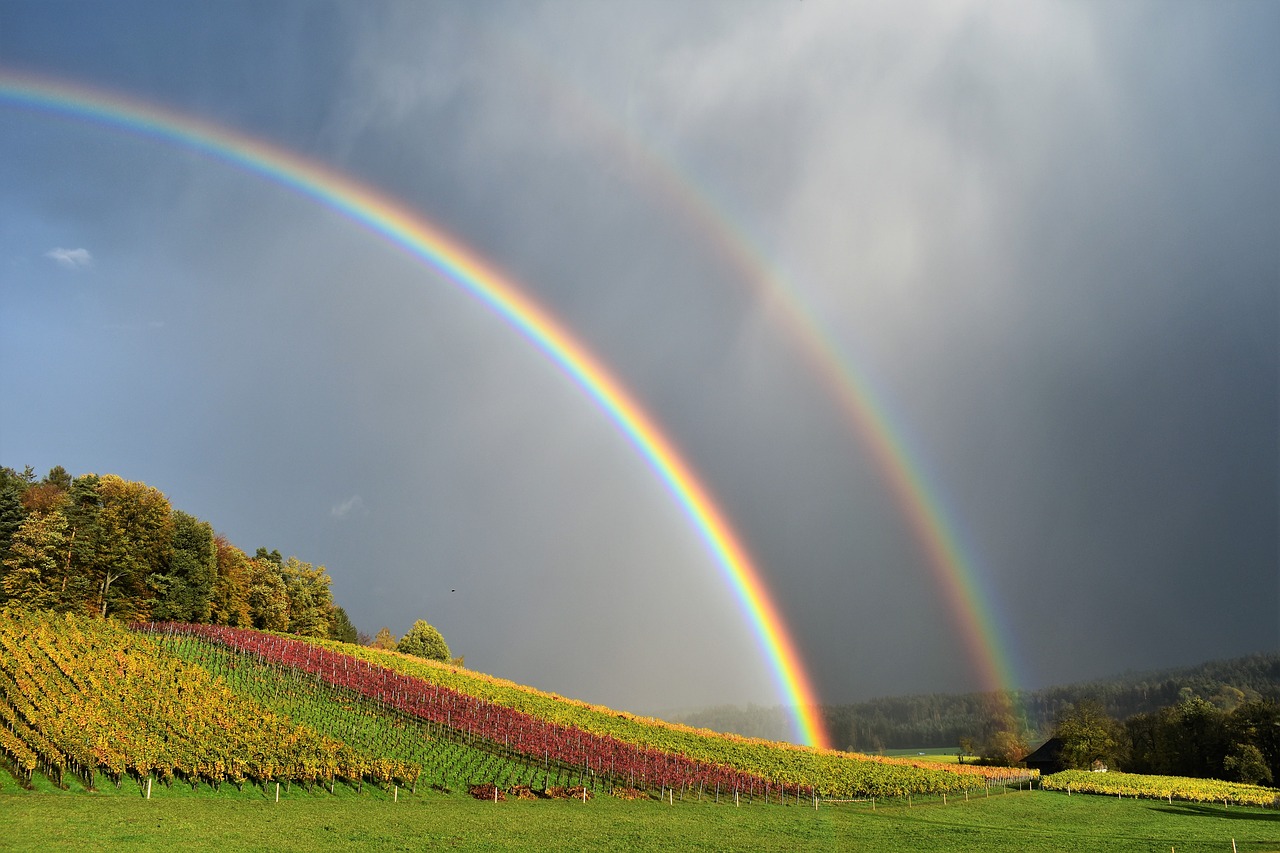 rainbow rain landscape free photo