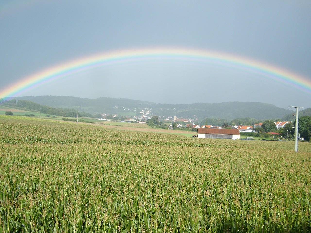 rainbow cornfield field free photo