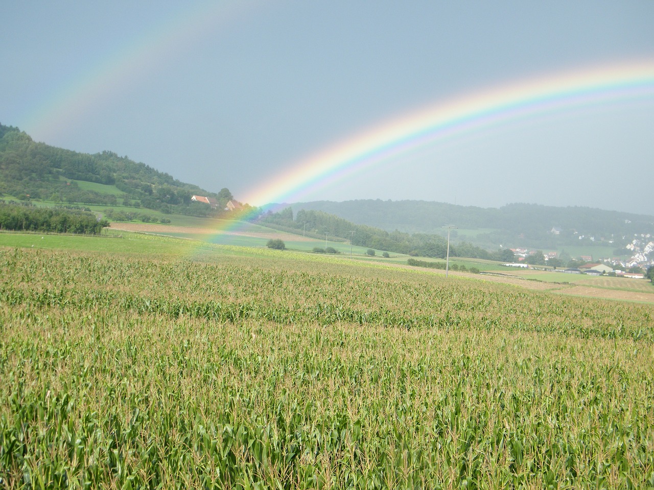 rainbow cornfield hill free photo