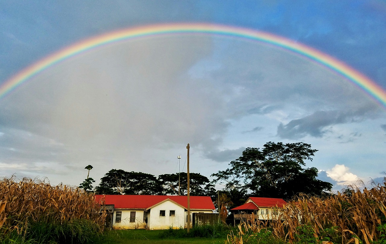 rainbow  sky  agriculture free photo