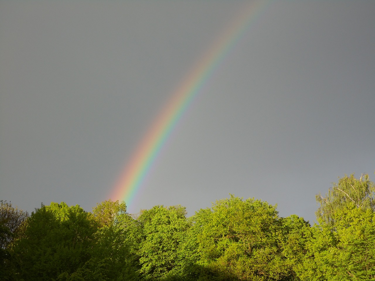Rainbow Rain Sun Weather Free Pictures Free Image From Needpix Com