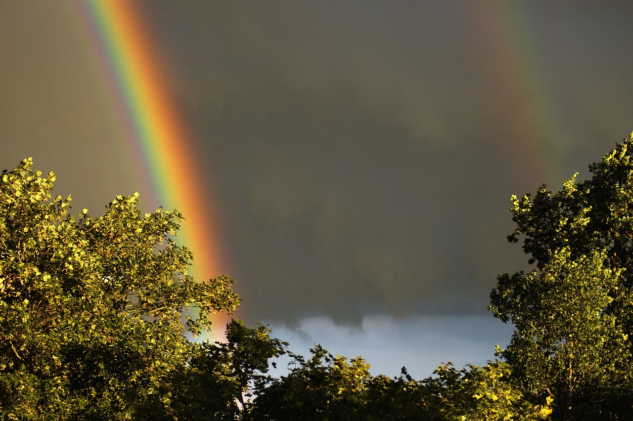 rainbow  rain  spectrum free photo