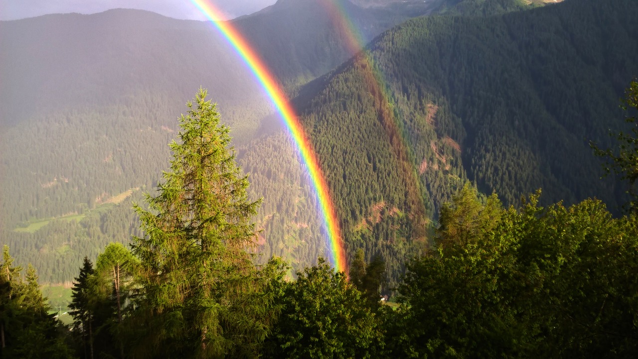 rainbow  mountains  forest free photo