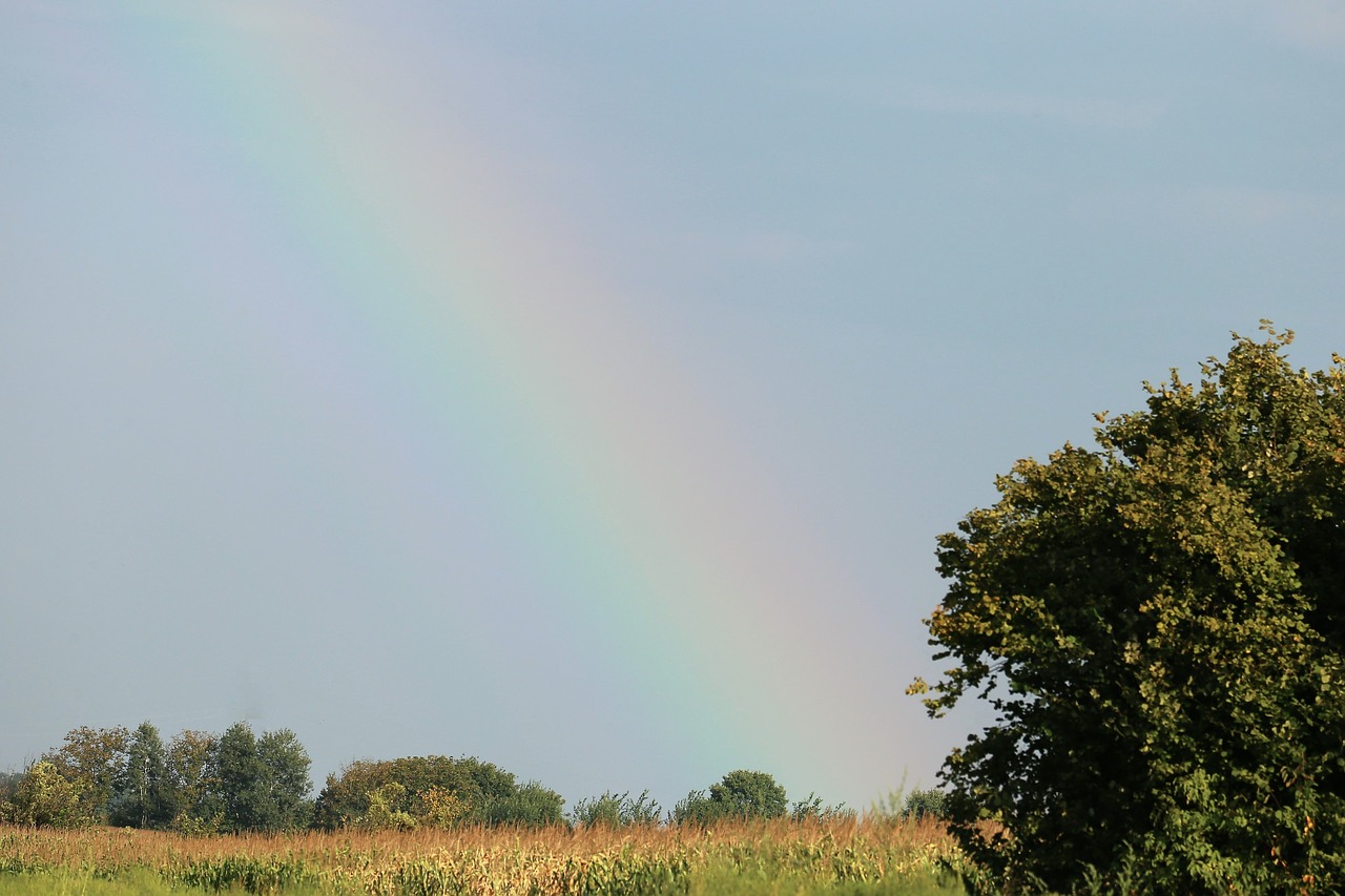 rainbow  sky  nature free photo