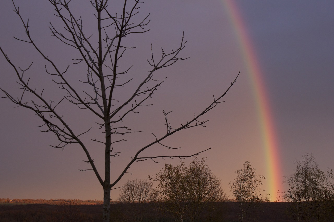 rainbow  evening  sky free photo