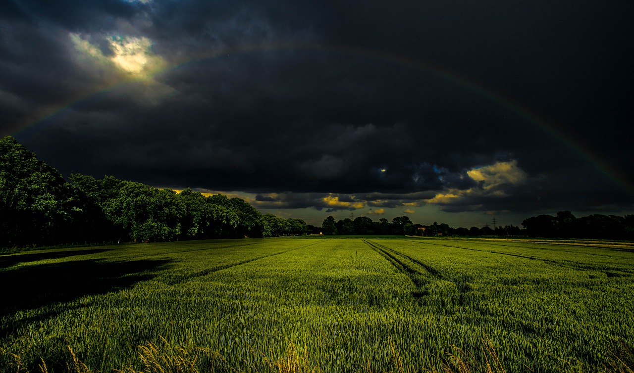 rainbow  green  grass free photo