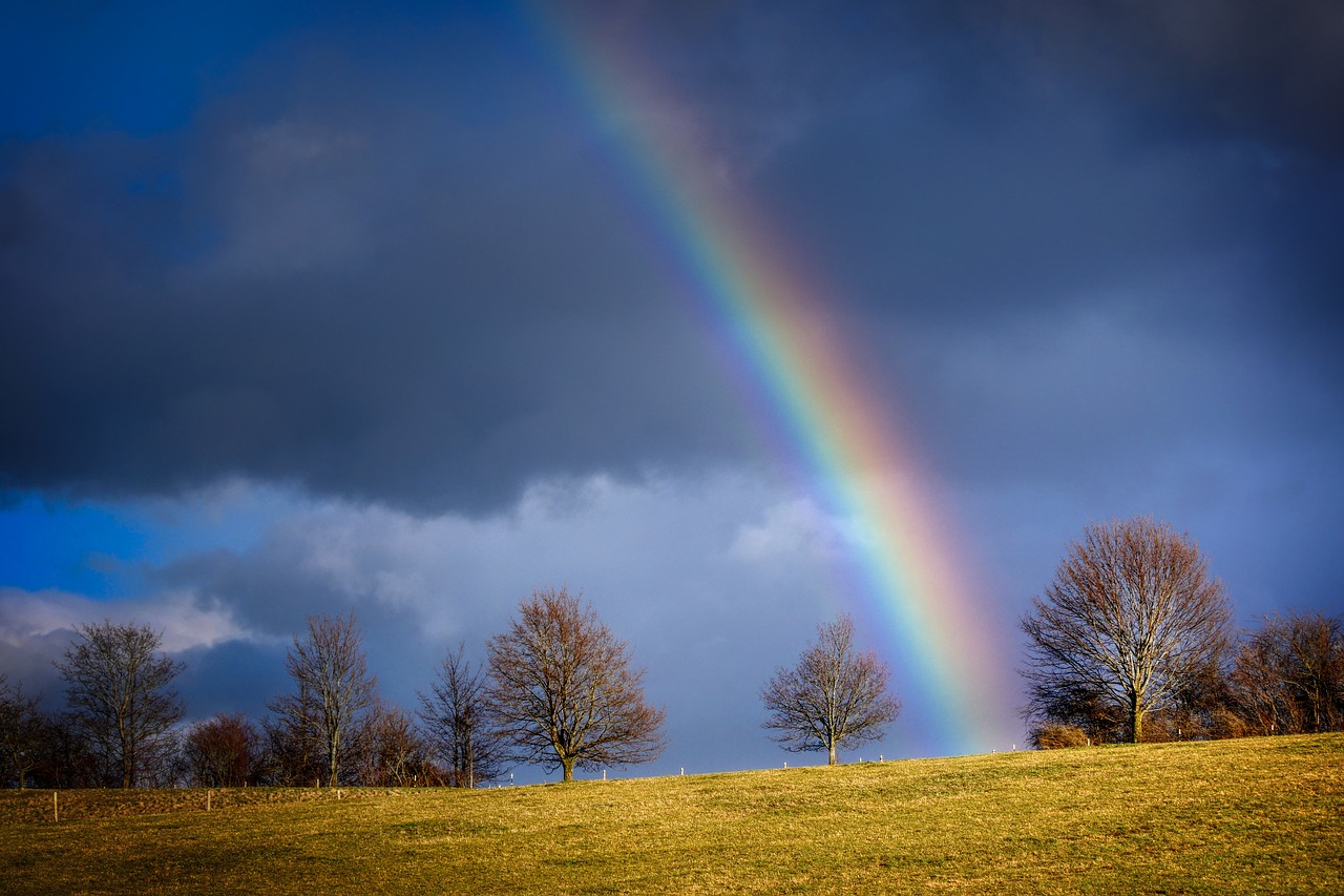 rainbow  evening light  nature free photo