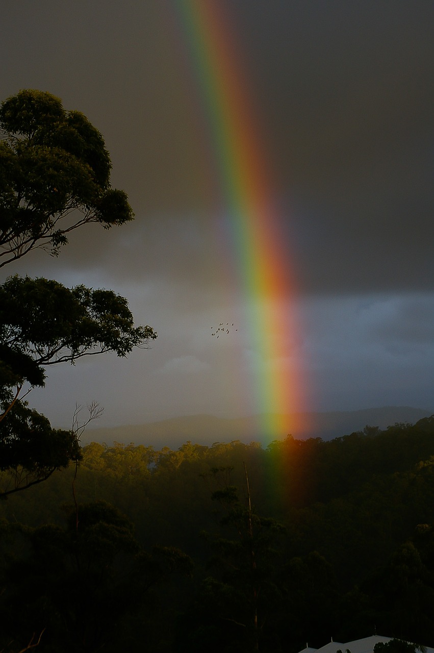 rainbow sky dark sky free photo