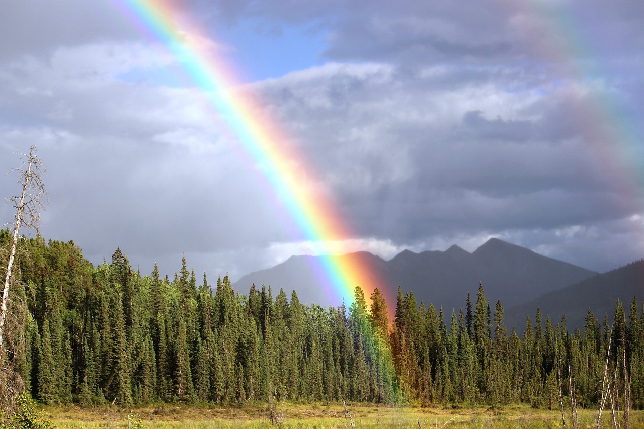 rainbow rain arch free photo