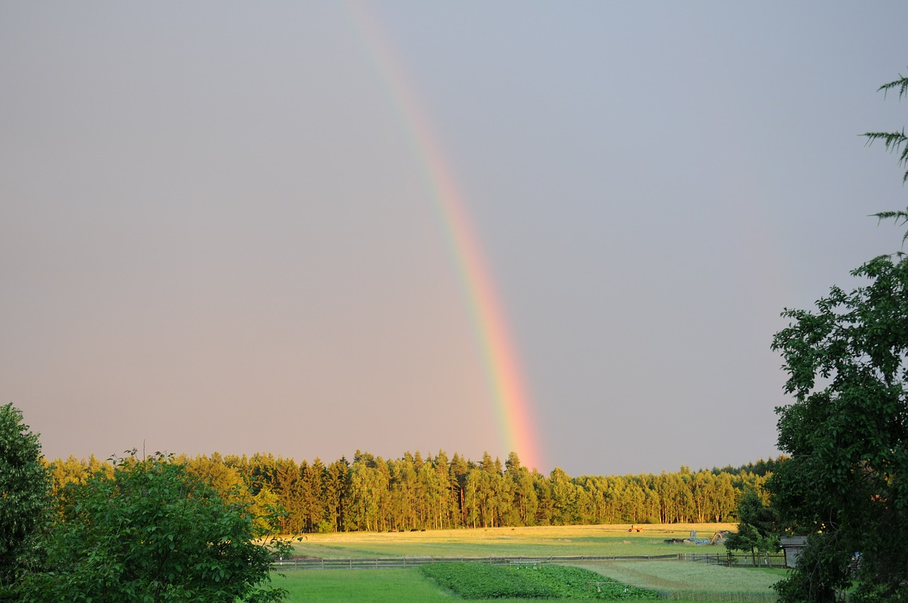 rainbow forest sky free photo