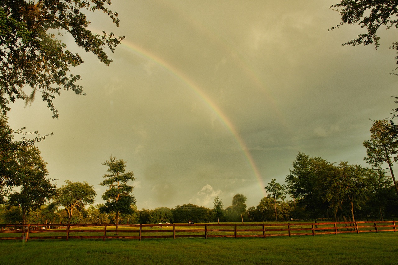 rainbow farm pasture free photo