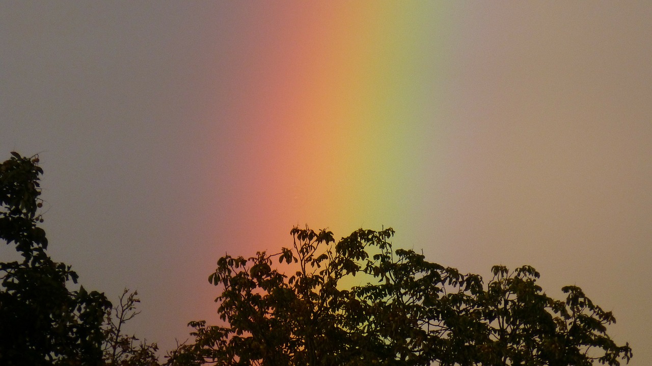 rainbow rain spectrum free photo
