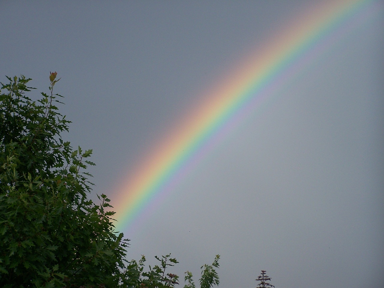 rainbow color sky free photo