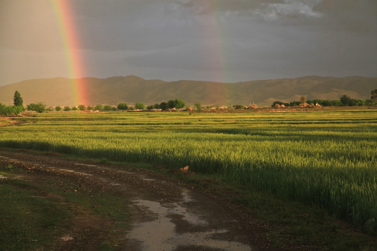 rainbow field afghanistan free photo