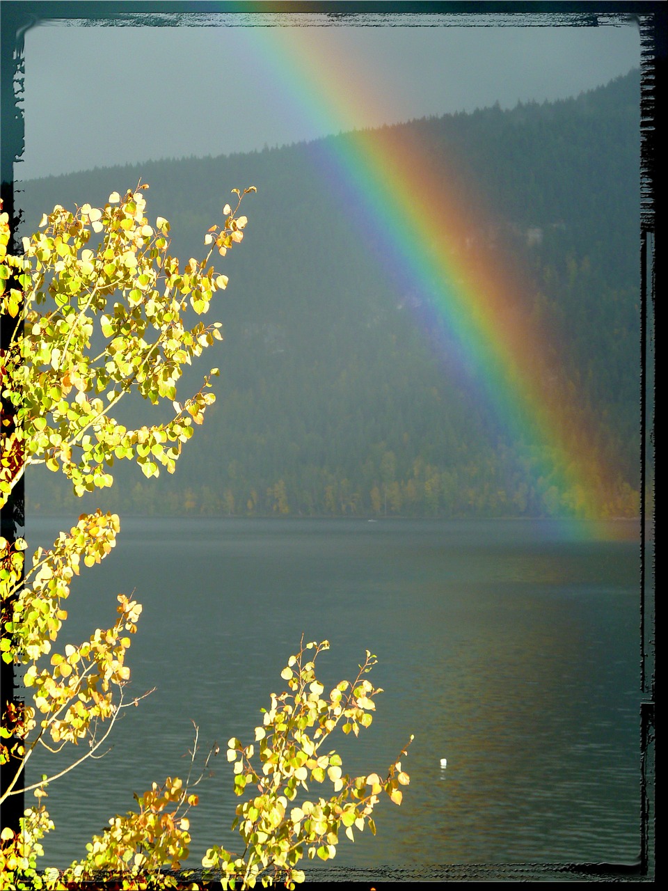 rainbow thunderstorm weather free photo